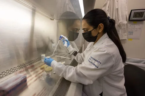 Grad in Bioscience